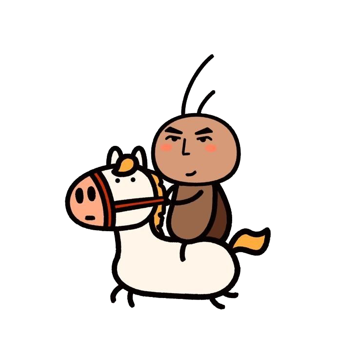 Rider Moroc